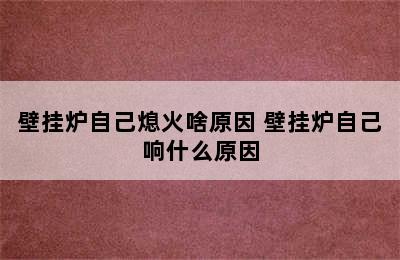 壁挂炉自己熄火啥原因 壁挂炉自己响什么原因